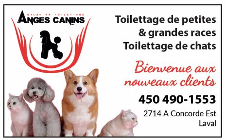 Toilettage ANGES CANINS